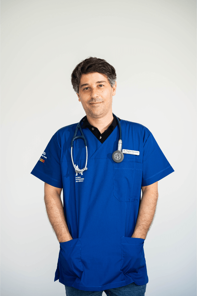 Pedro Câmara
