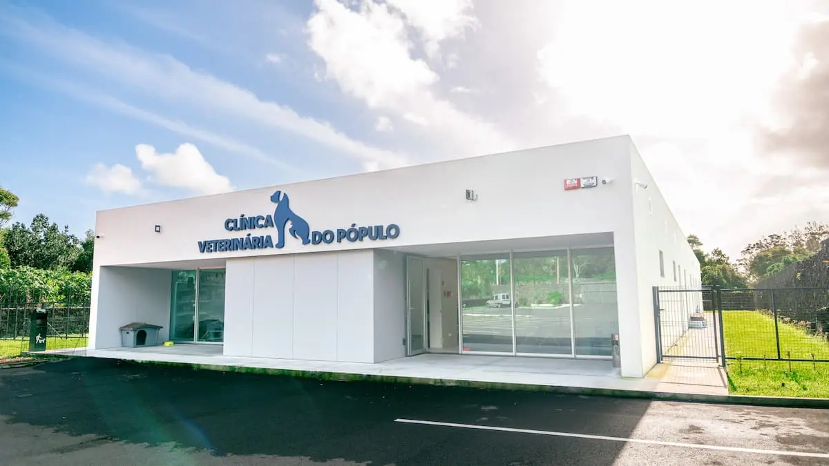Veterinário com filhotes
