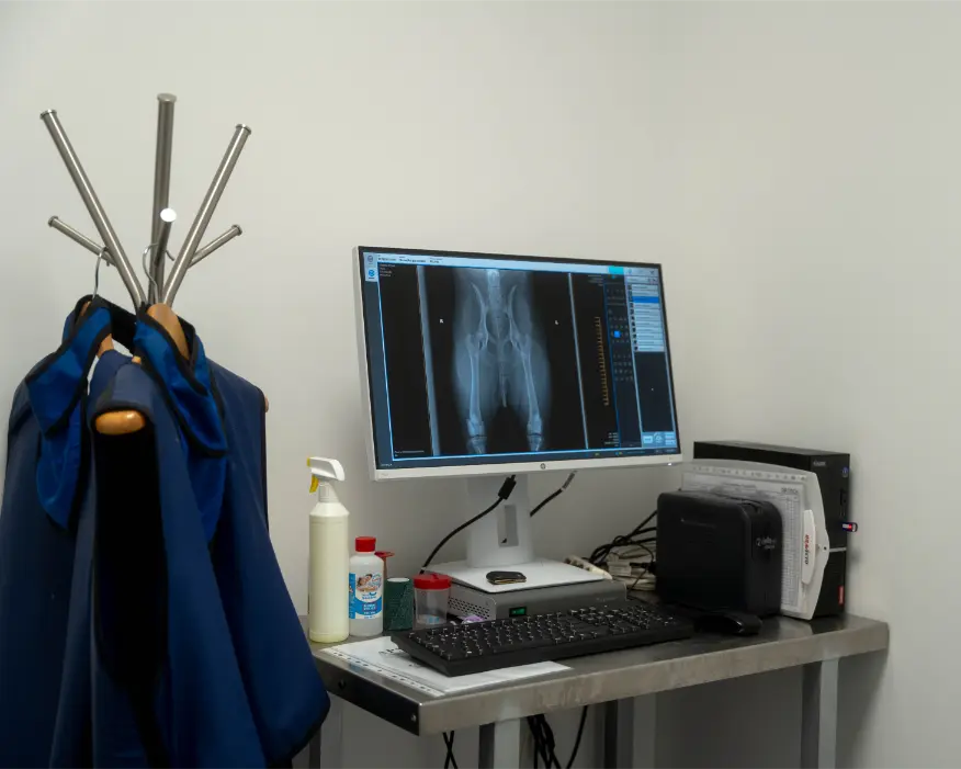 Radiografia