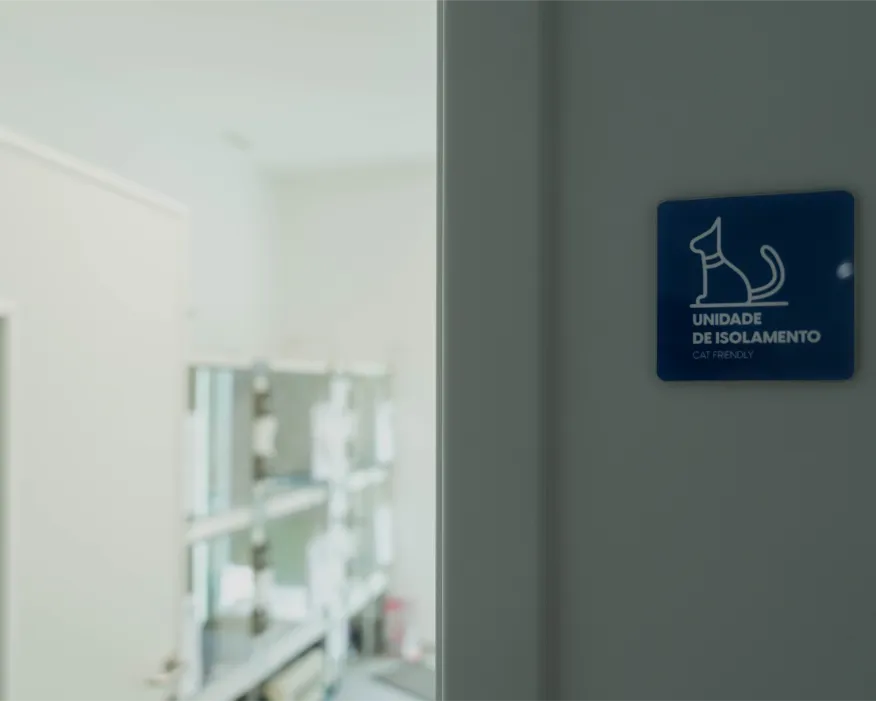 Unidade Isolamento Gato
