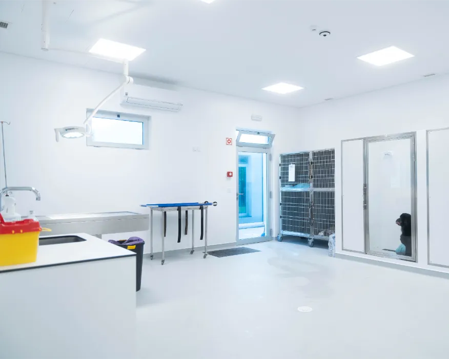 Sala de Hospitalização Geral Cão