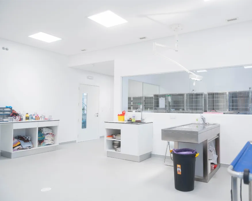 Sala de Hospitalização Geral Cão